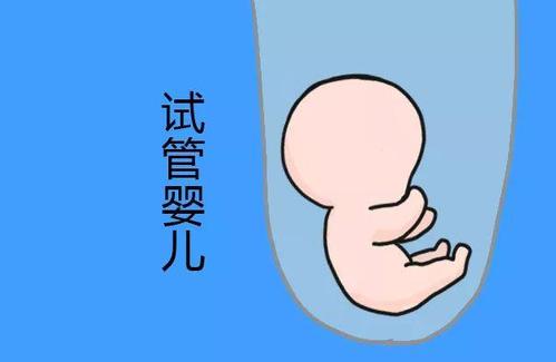 素竹生殖医学中心