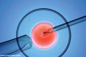 关于素竹生殖